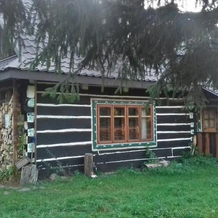 Molfar, Beskid Niski , Polowa Domu Apartment Polany  Luaran gambar